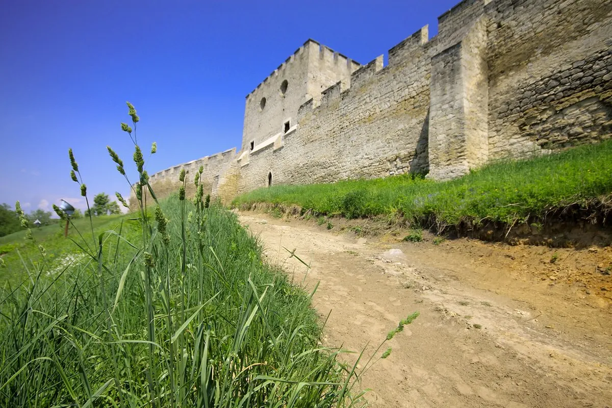 Carcassonne Top Attractions 2025: Explore the Medieval City