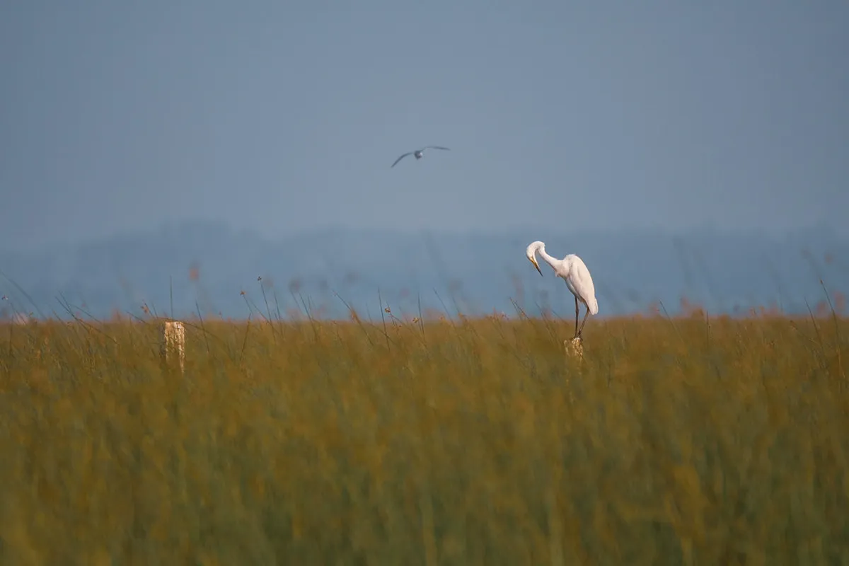 Cité Des Climats Et Vins De Bourgogne: Is It Worth Visiting?