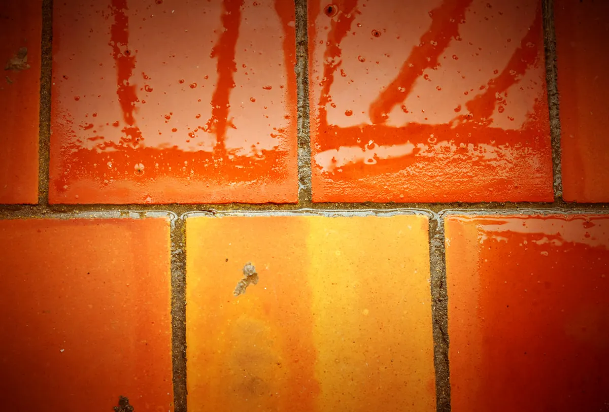 Ciutadella Day Trips: Best Excursions for 2025