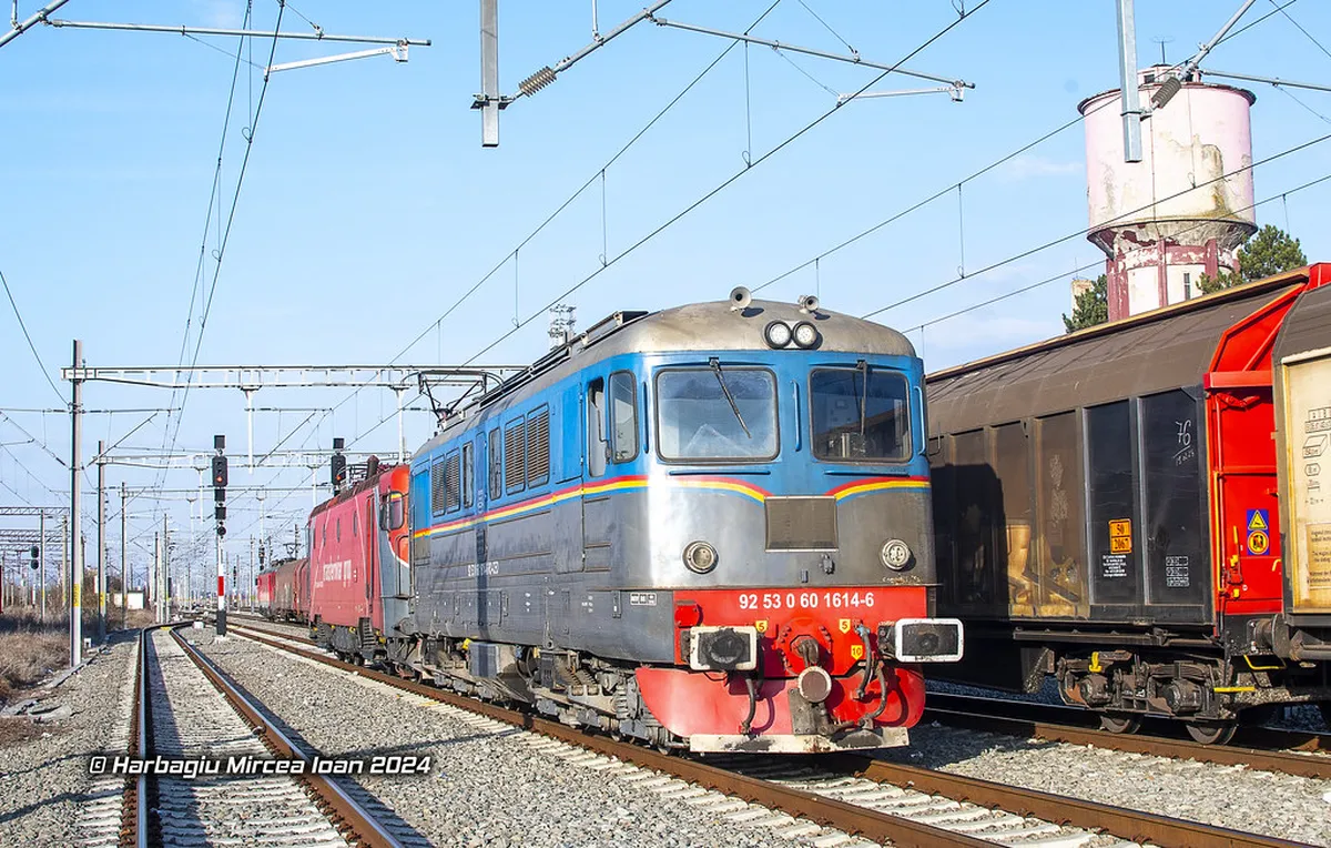 Top Cluj-Napoca Day Trip Ideas for Your 2025 Adventure