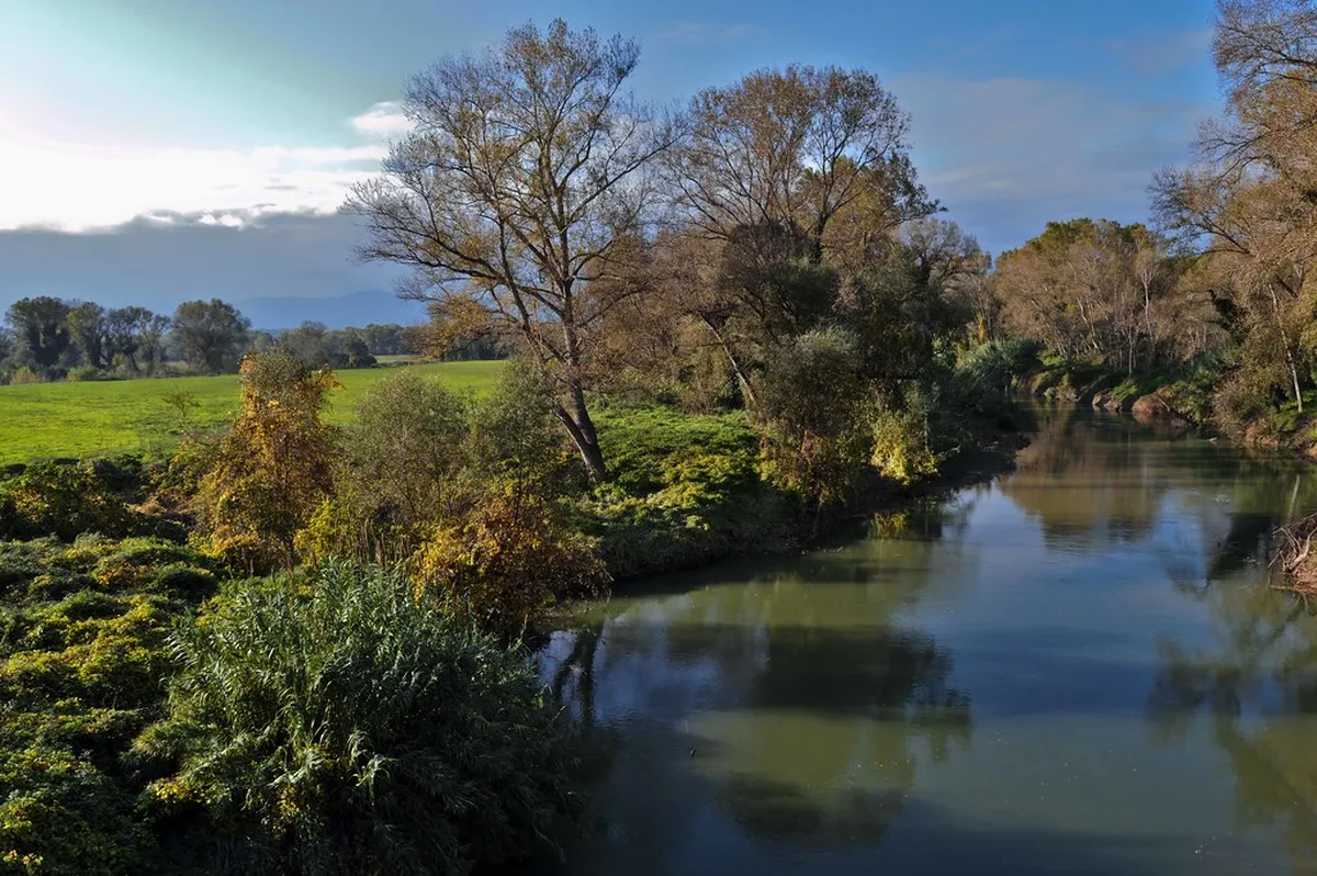 Cremona Travel Guide 2025: Italy's Violin City