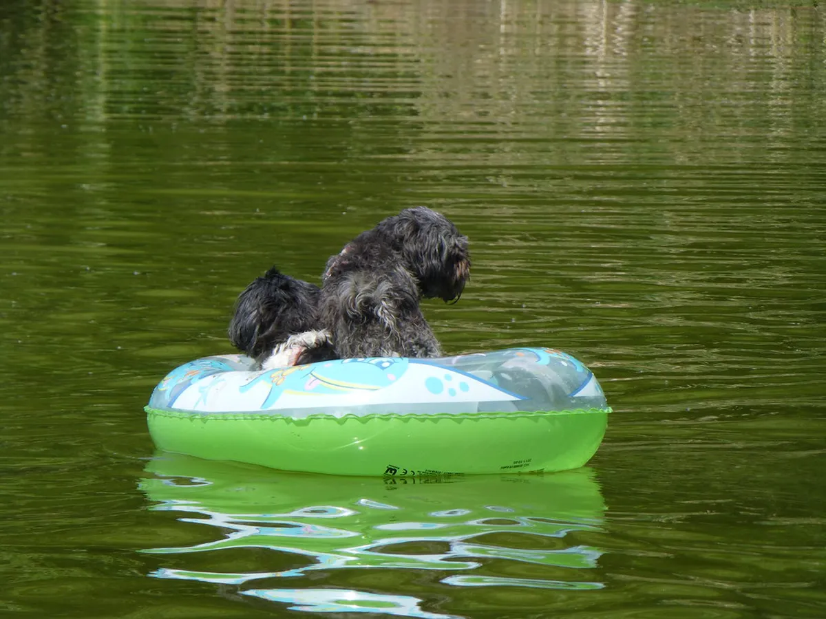 Top Day Trips from Cremona in 2025: Explore Lombardy & Beyond