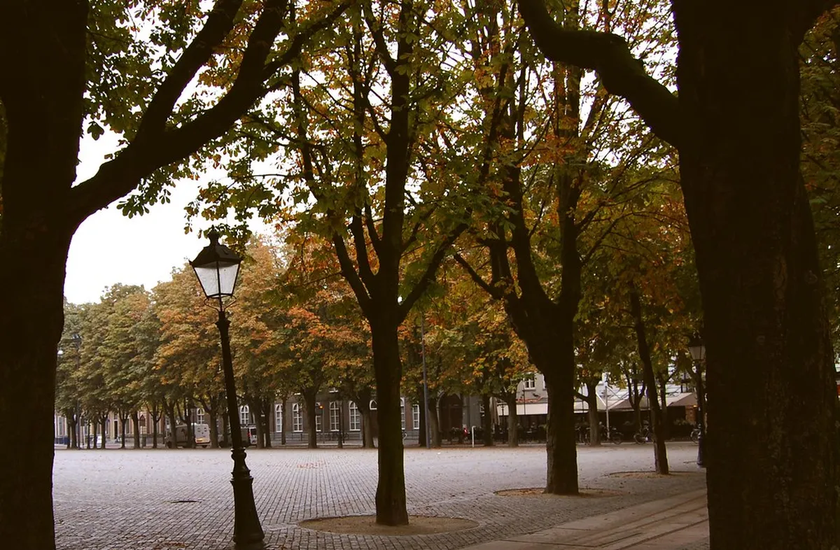 Den Bosch Travel Tips 2025: Your Ultimate Guide