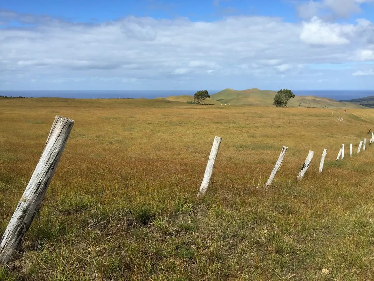 Detailed Walking Routes for Bodø's Architecture