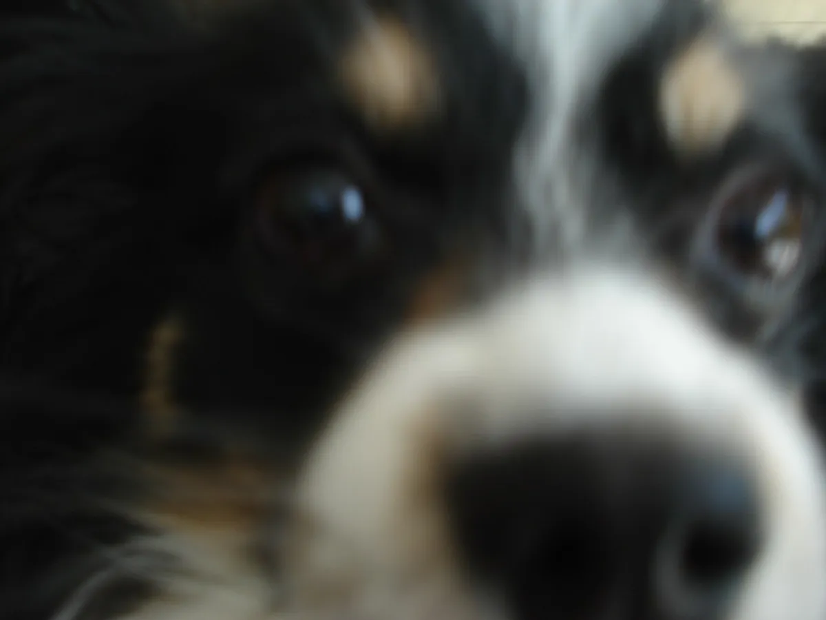 Dijon Itinerary for First-Timers: Your Ultimate 2025 Guide