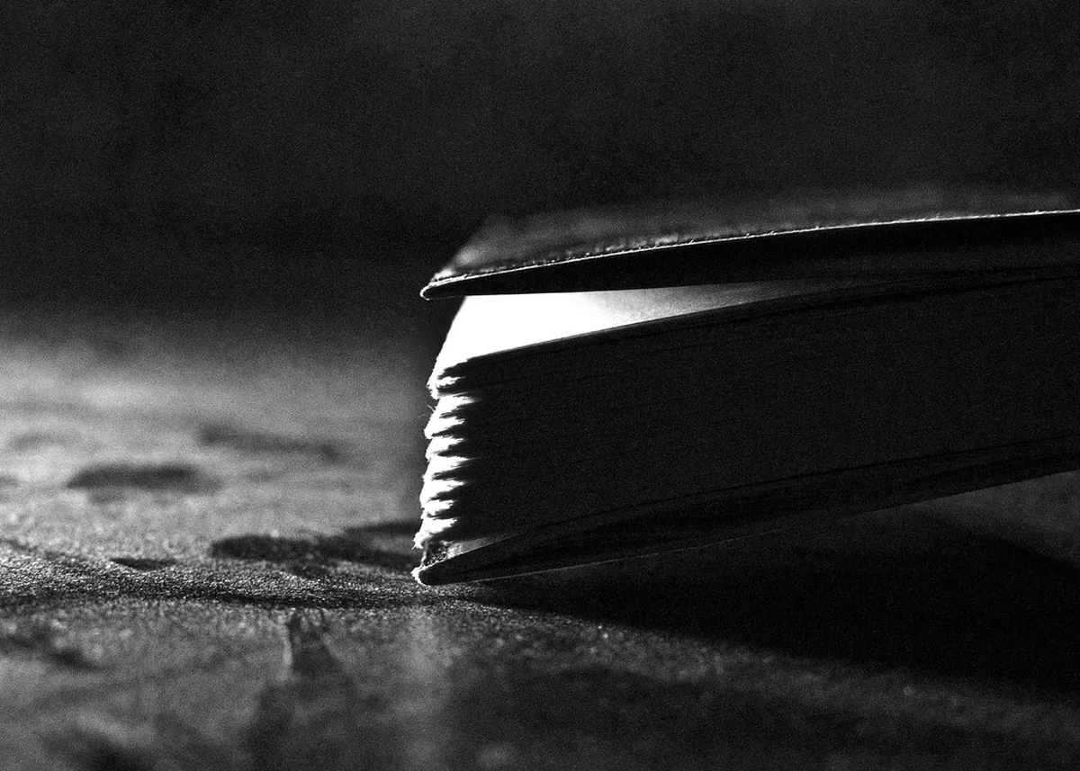 Top Dresden Day Trip Ideas for Your 2025 Adventure