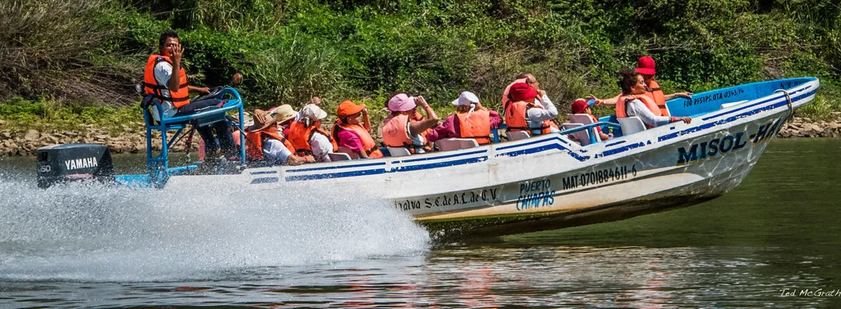 El Puerto Local Food Guide 2025: Savoring Andalusian Delights