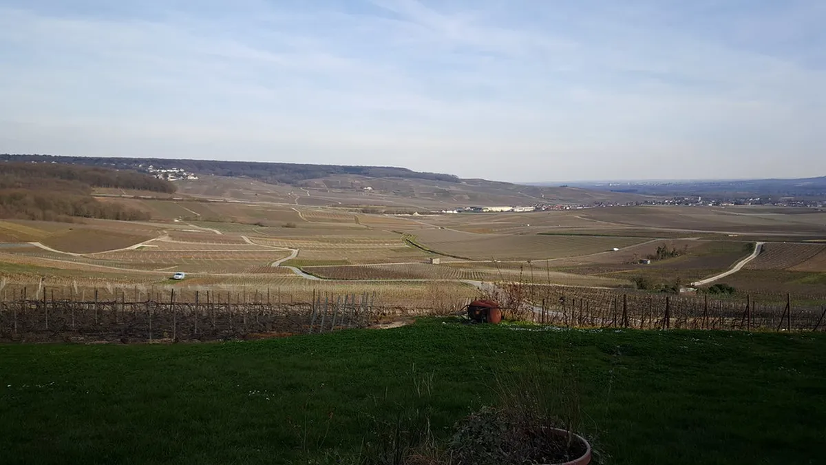 Epernay On A Budget: Cheap Eats And Free Visits Travel Guide