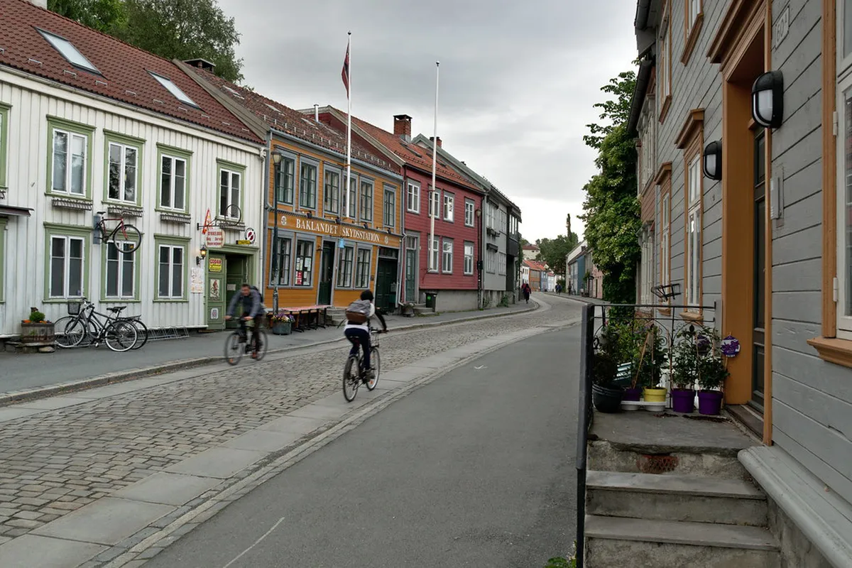 Explore Trondheim's Ringve Botanical Garden Oasis