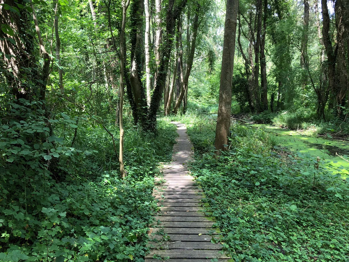 Top Fontainebleau Forest Activities for Outdoor Lovers 2025