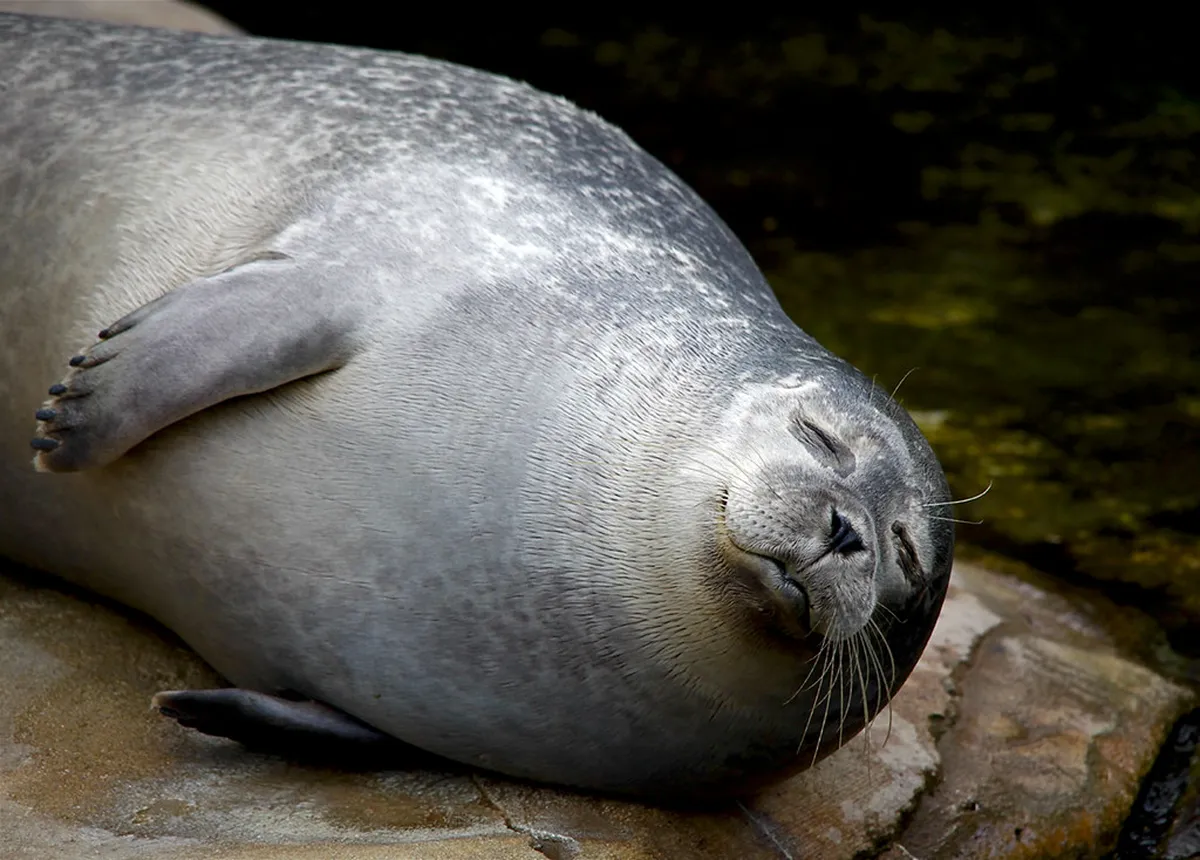 Frankfurt Must See Attractions: Your 2025 Travel Guide