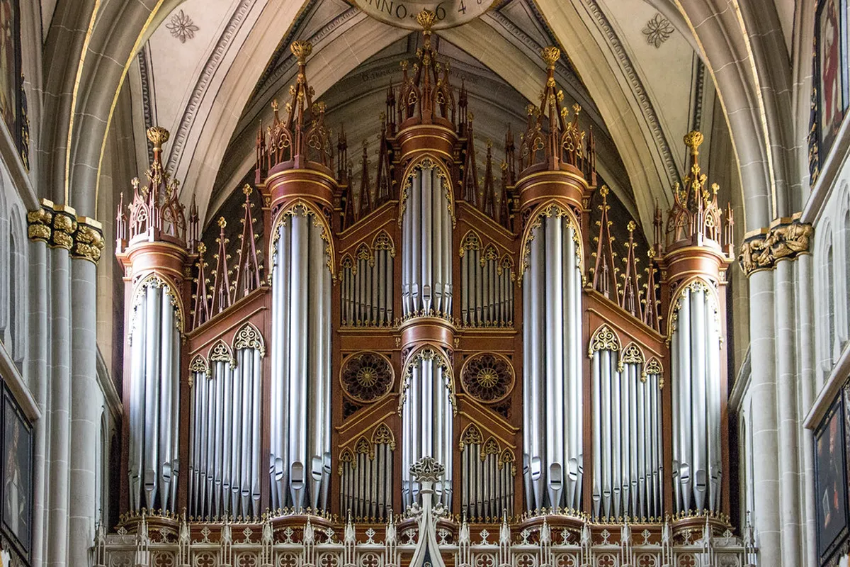 Best Freiburg Day Trips 2025: Black Forest & Beyond