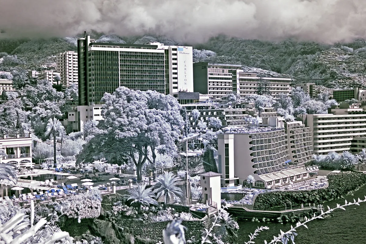 Funchal Hotel Booking Tips: Your 2025 Travel Guide