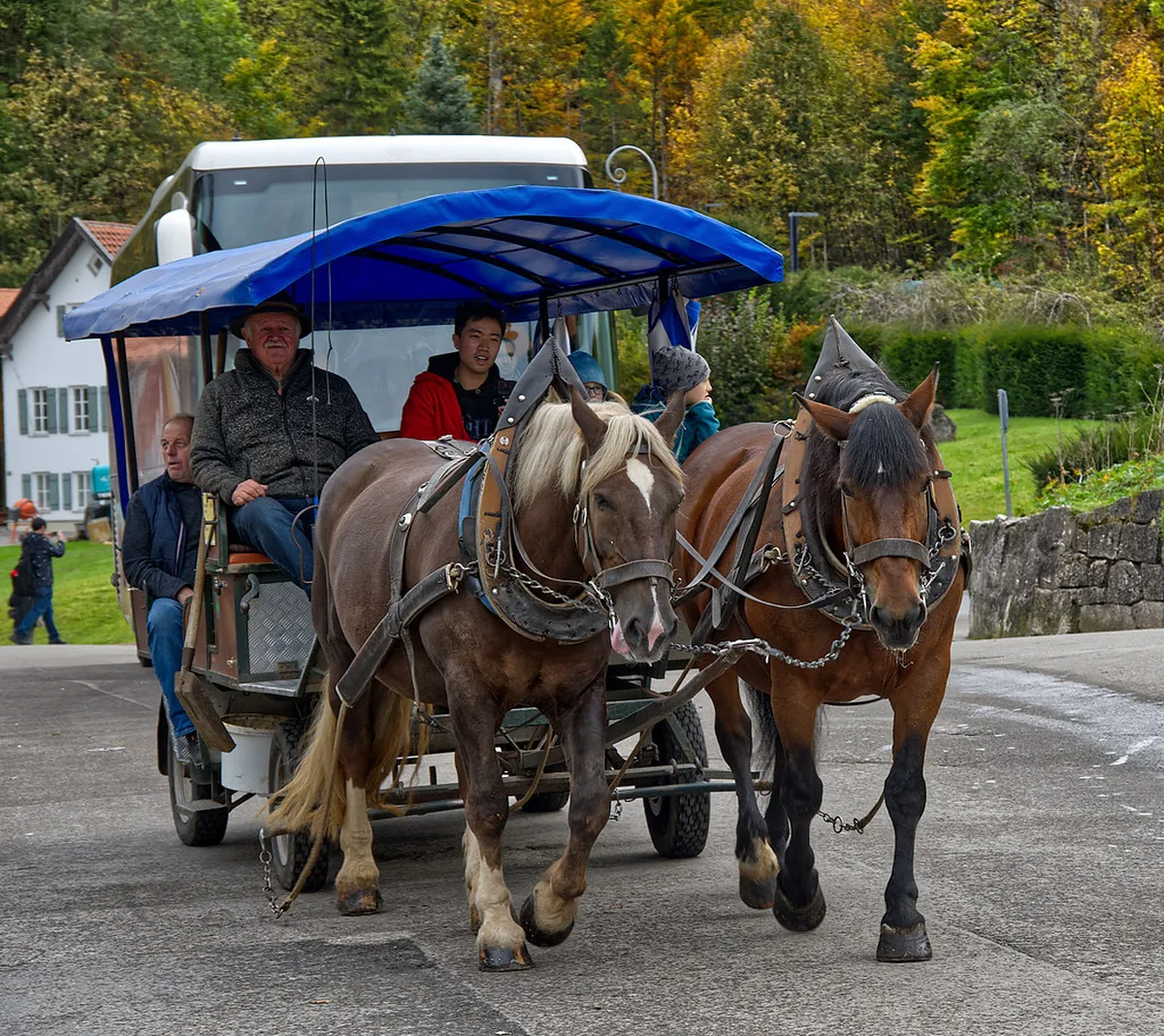 Füssen Public Transport Guide 2025: Your Mobility Map