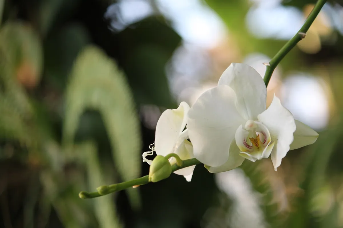 Buy Genoa Aquarium Tickets 2025: Your Complete Guide