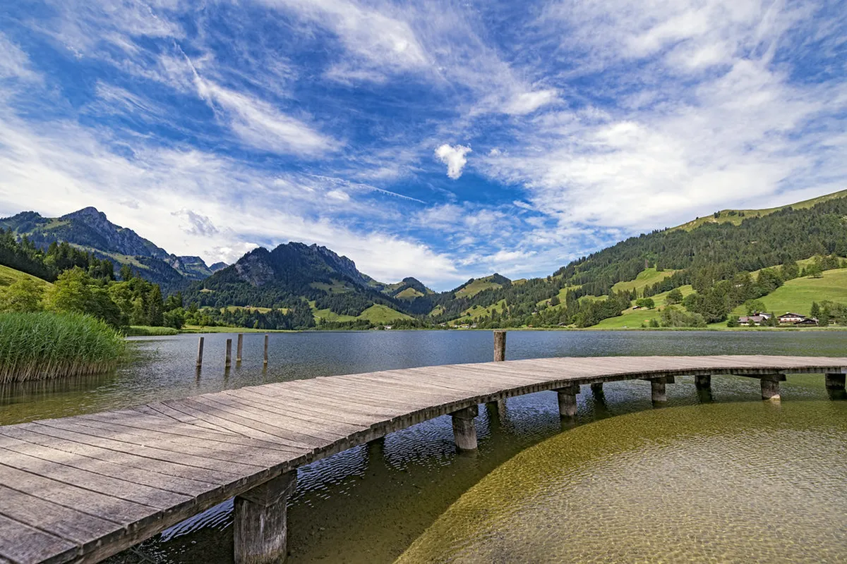 Freiburg Transport Guide 2025: Getting Around Easily