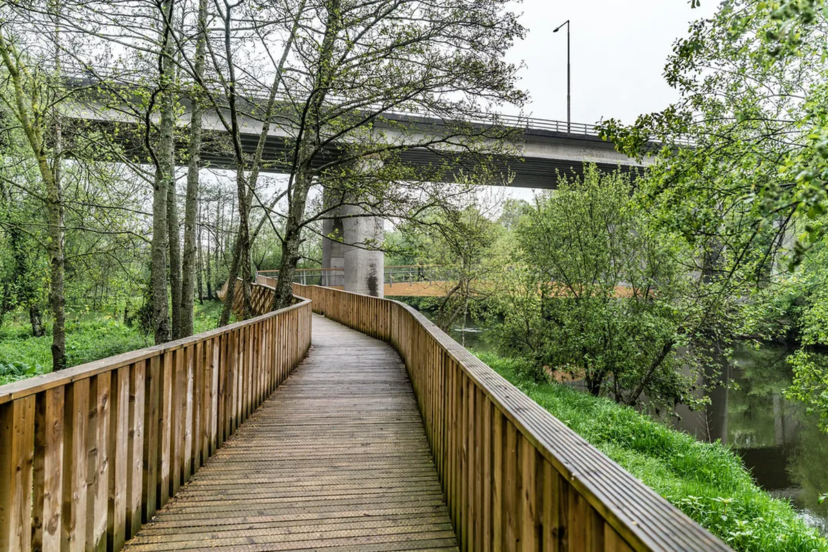 Getting Around Kilkenny City: Your 2025 Transport Guide