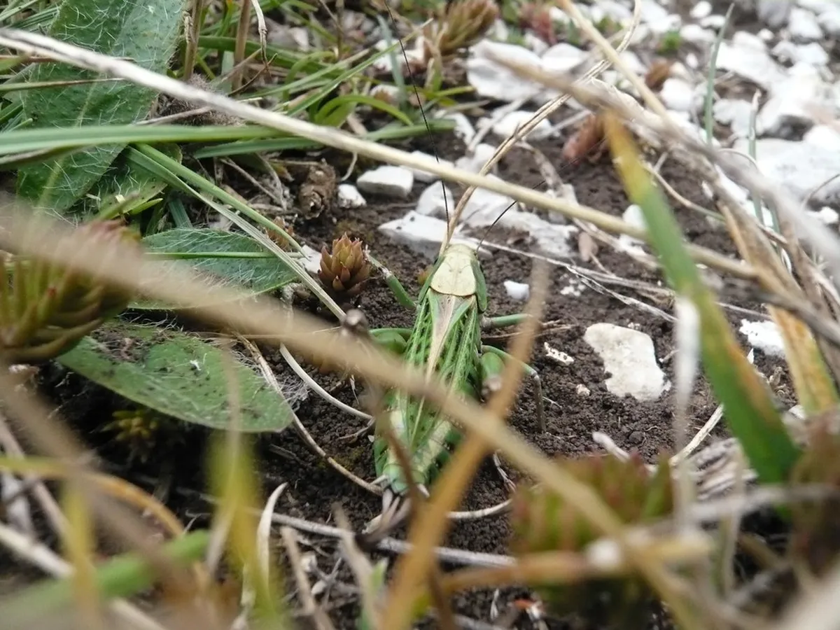 Grenoble Hotel Booking Tips: Find Your Perfect Stay in 2025