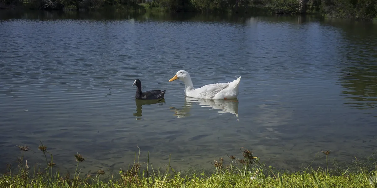 Grenoble Weather Guide: The Basin Effect and Best Time to Visit