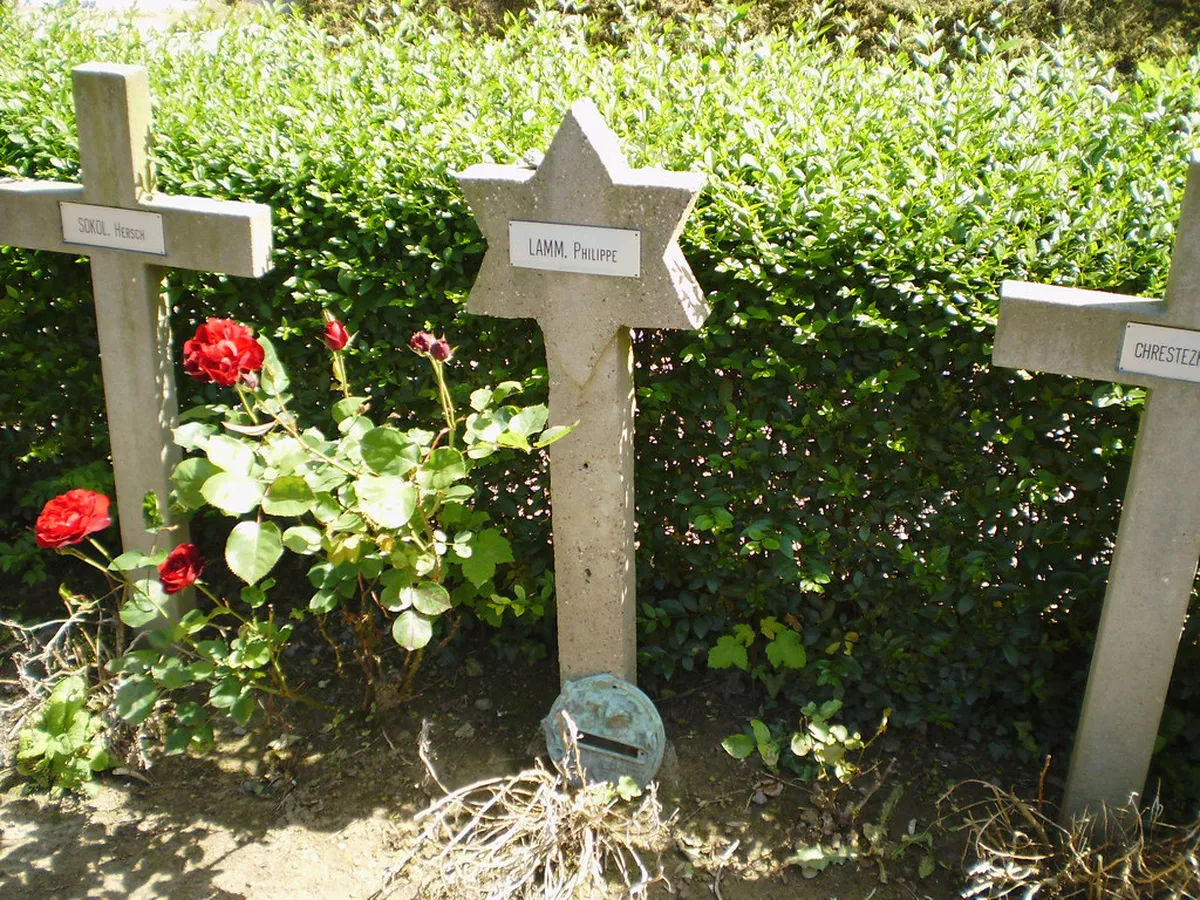 How to Book Philippe Le Bon Tower Tickets and Climb Times: 9 Essential Tips