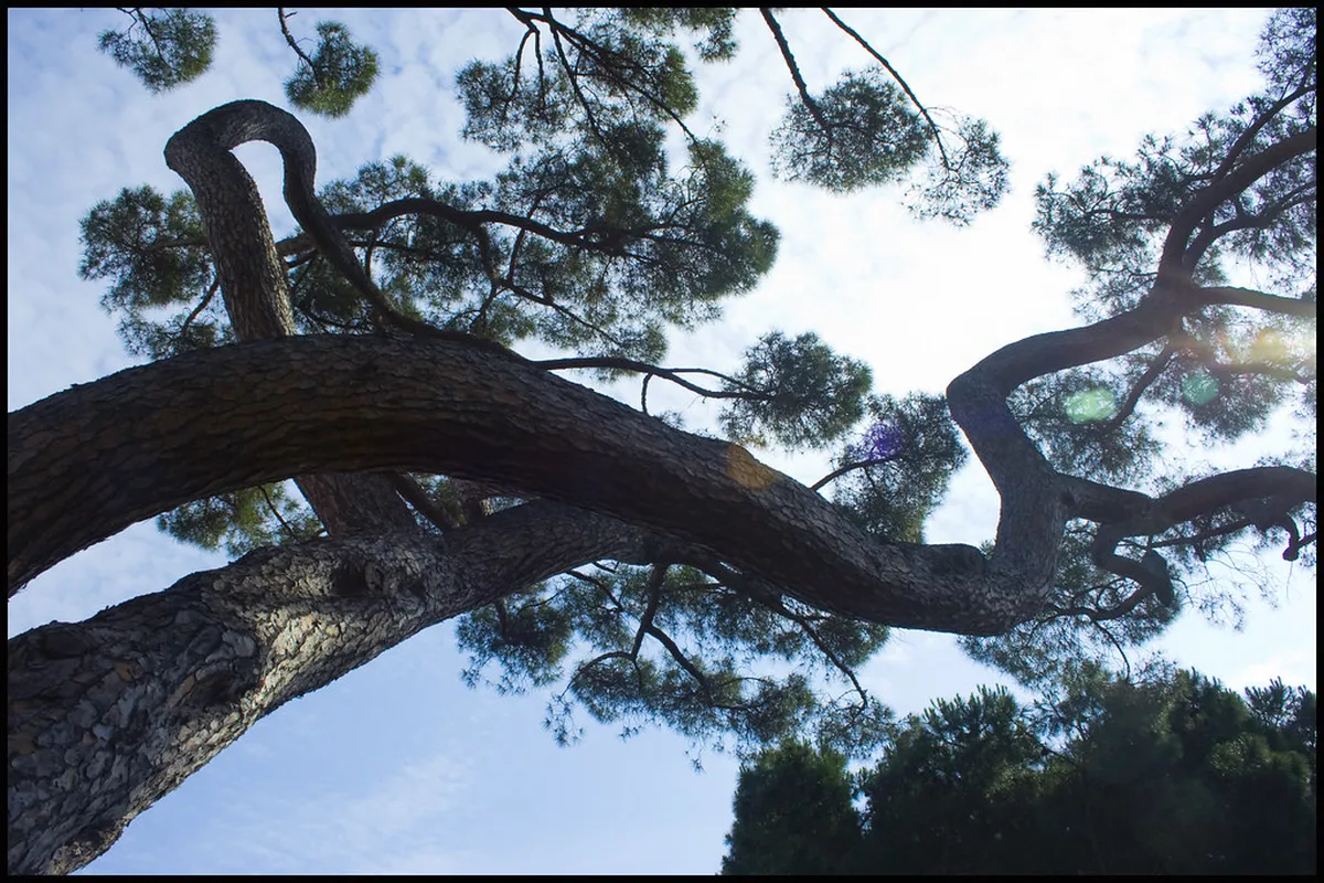 How to Get to Bastia: Your Ultimate 2025 Travel Guide