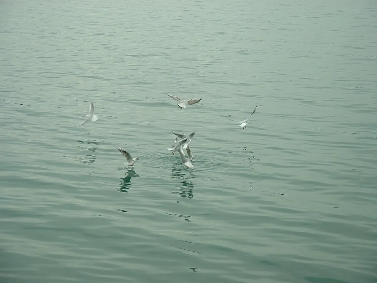 How to Get Trabzon: Your 2025 Travel Guide