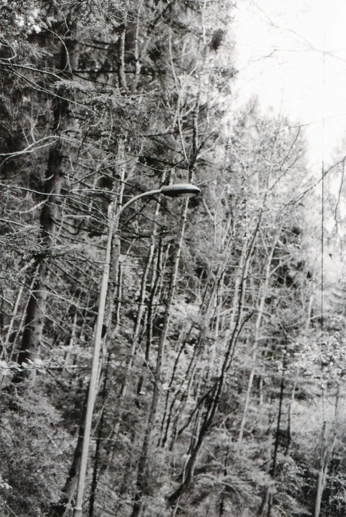 Innsbruck Hidden Gems: Unique Spots for Tourists