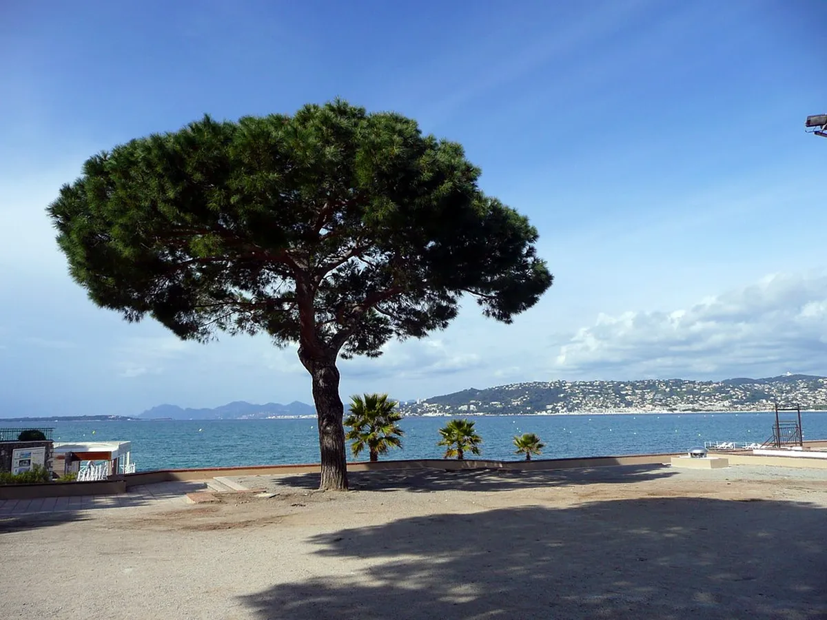 Juan Les Pins Travel Guide: Best Beaches and Tips