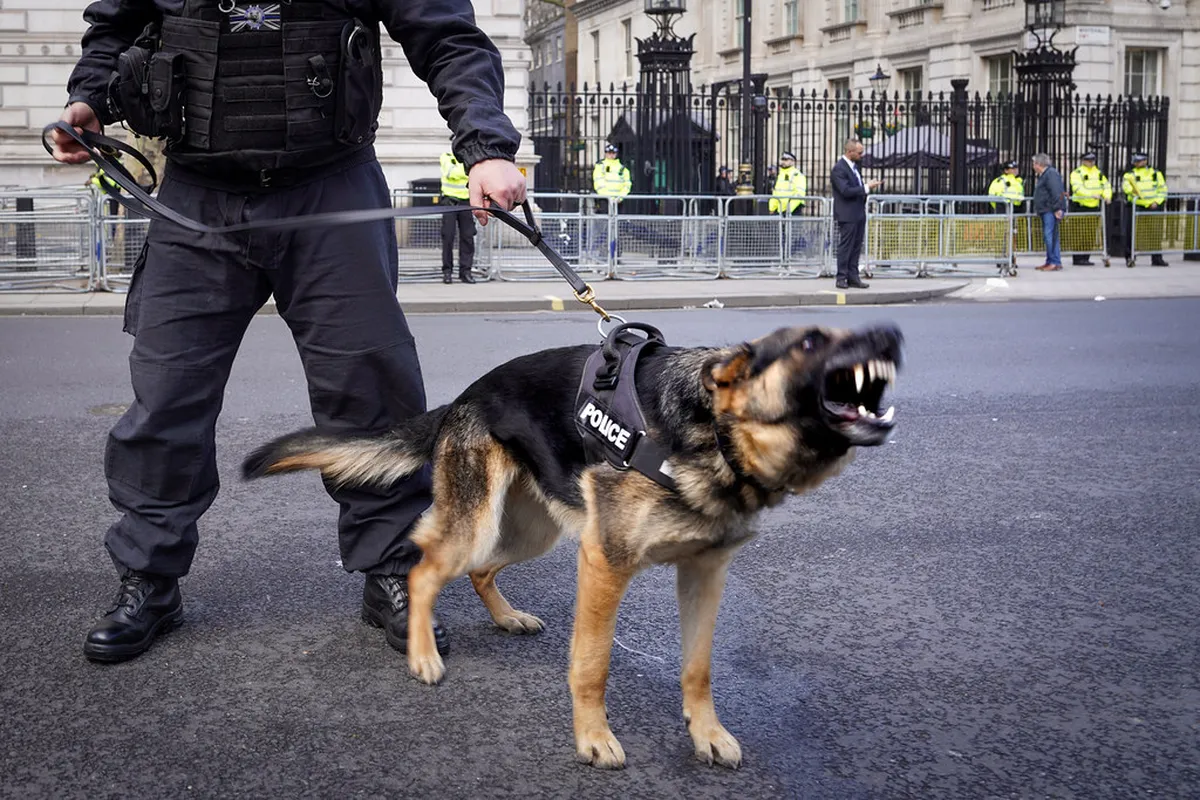 Stavanger's Building History: Key Periods Explained