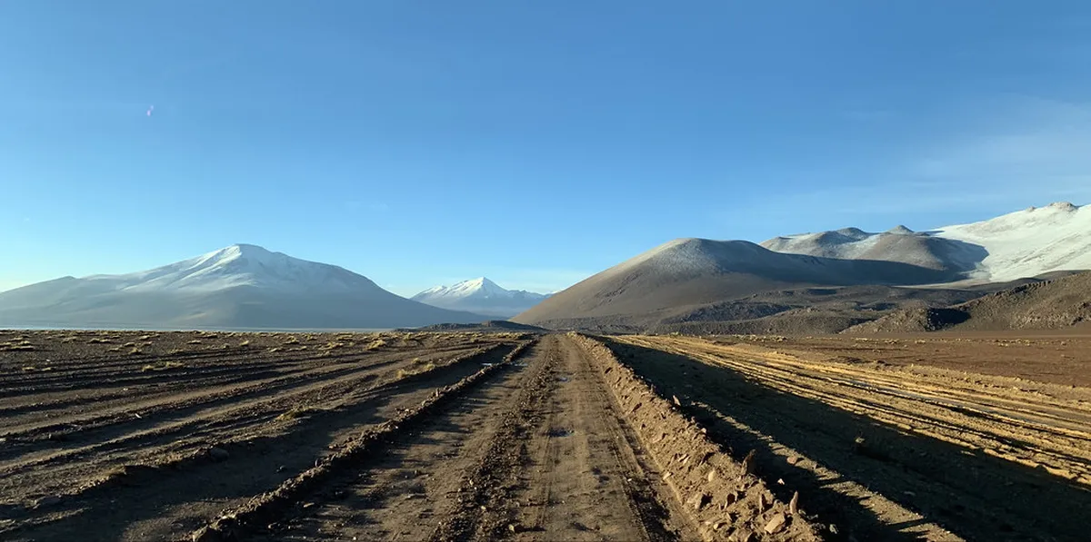 La Laguna Public Transport: Your 2025 Travel Guide