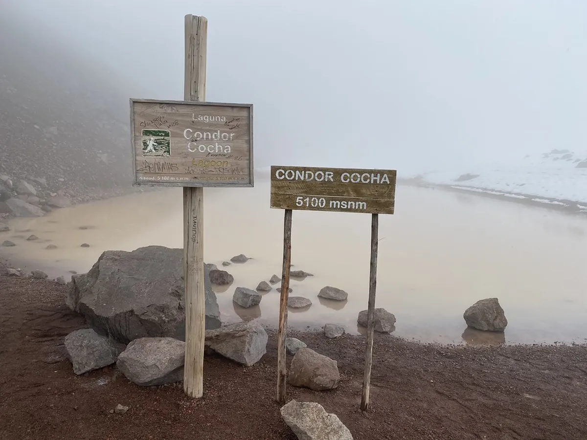 Discover La Laguna: Your Essential Walking Tour Guide 2025