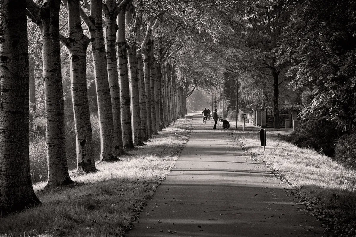 Top Leeuwarden Day Trips 2025: Explore Friesland & Beyond