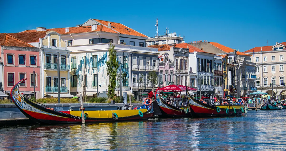 Lisbon to Nazaré Transport Guide: Bus, Car, and Tour Options