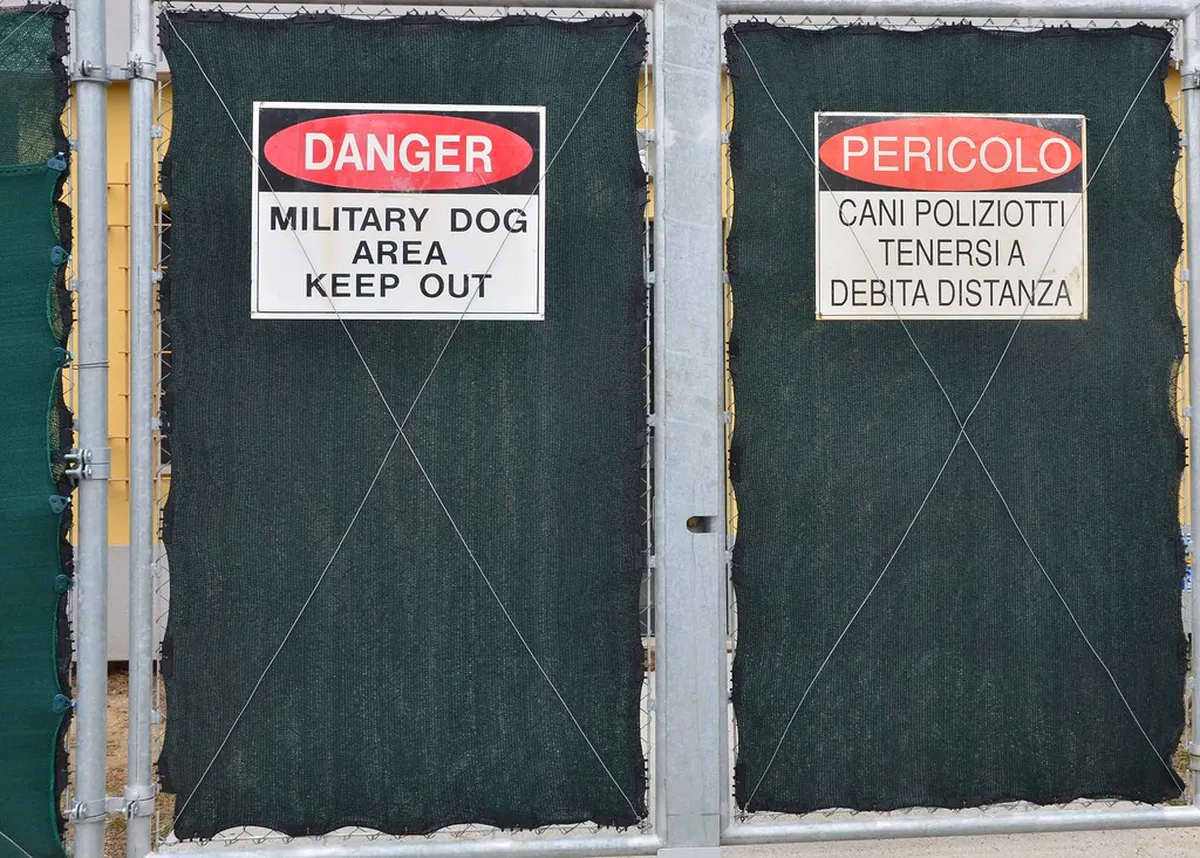 Livorno Public Transport Map 2025: Your Essential Guide