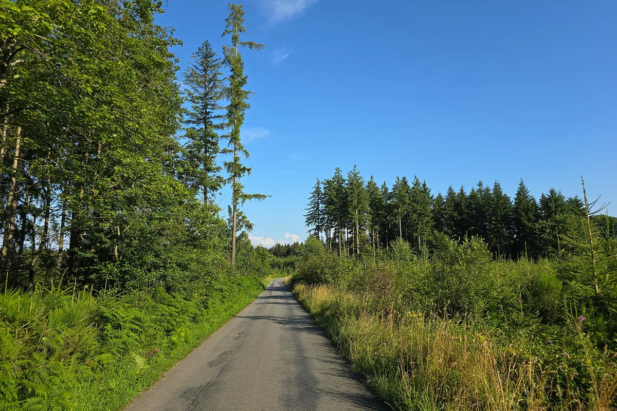 Ultimate Liège Itinerary for First-Timers in 2025