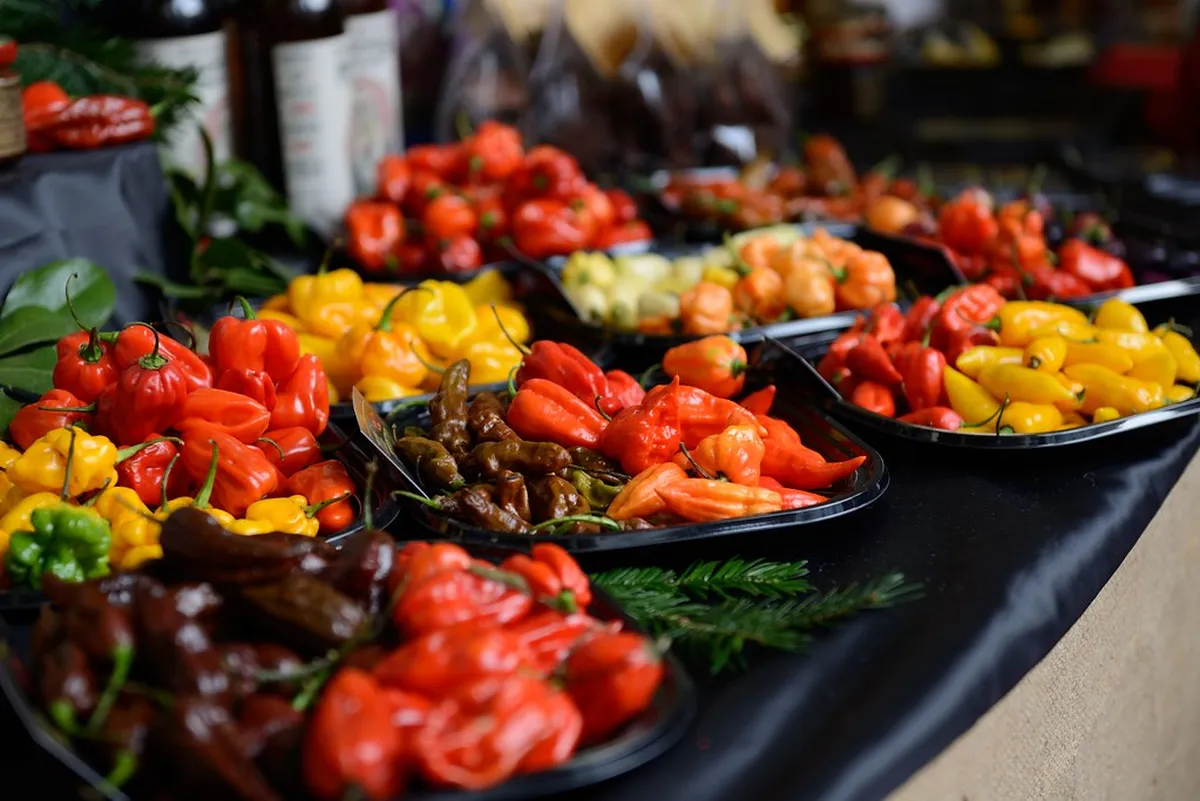 Lucca Budget Travel Tips: Explore More, Spend Less in 2025