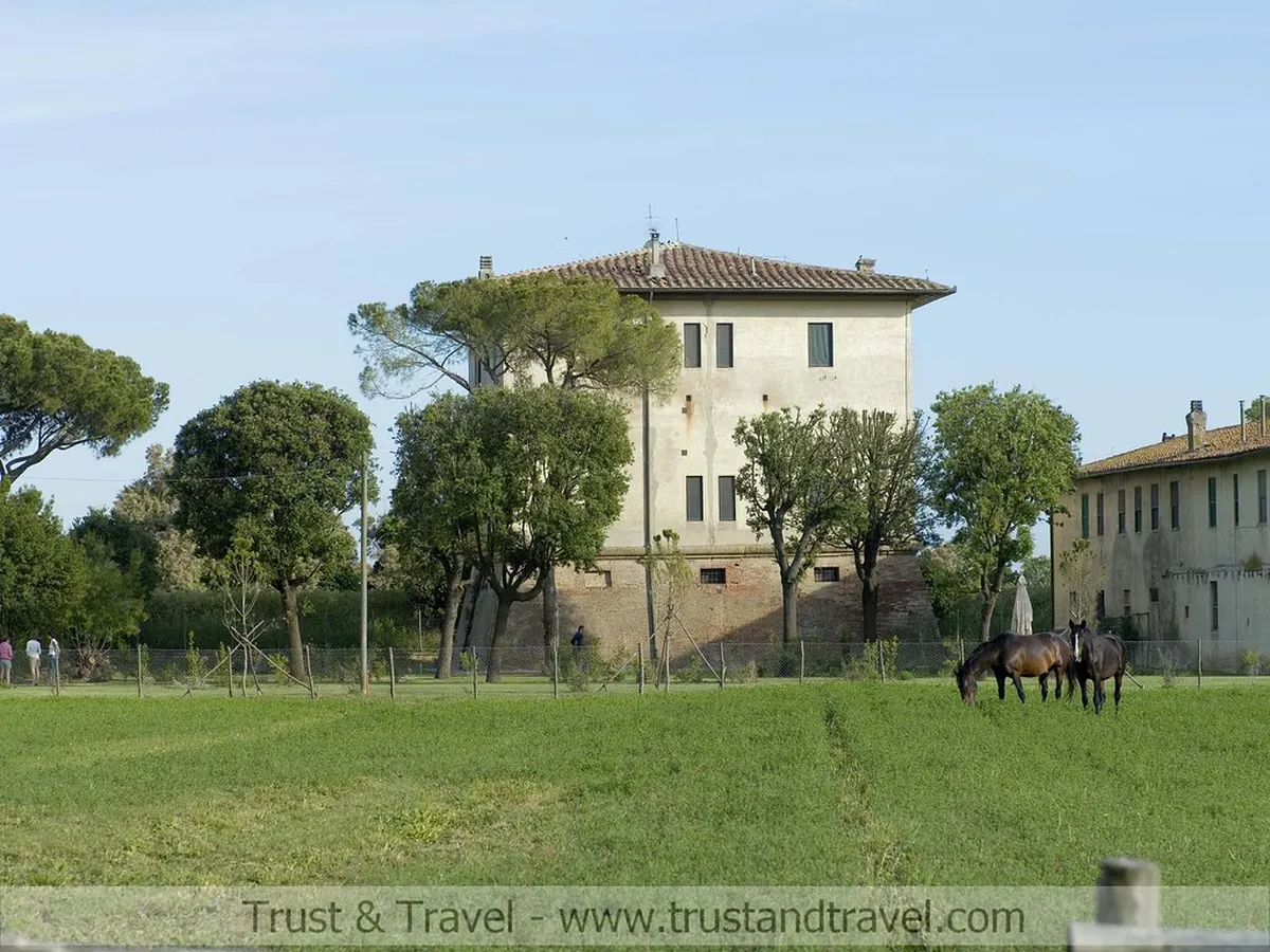 Easy Lucca Day Trips: Top Tuscan Escapes for 2025