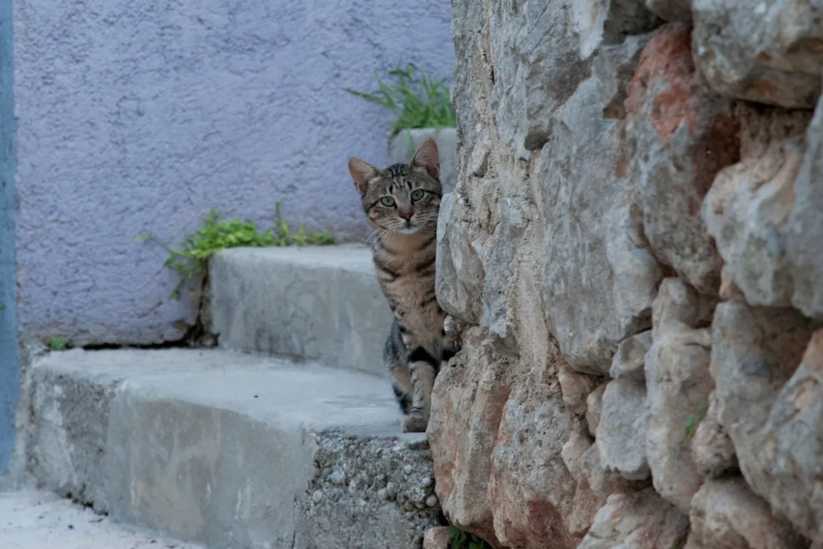 Mali Lošinj Itinerary for First-Timers: Your 2025 Croatia Guide