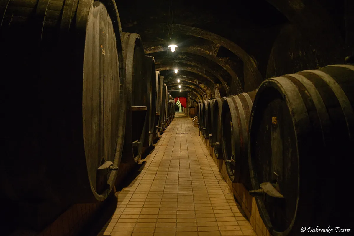 Maribor Wine Cellar Tours: Your Ultimate 2025 Guide