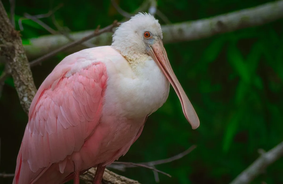 Top Milazzo Beaches for Families in 2025: Your Guide