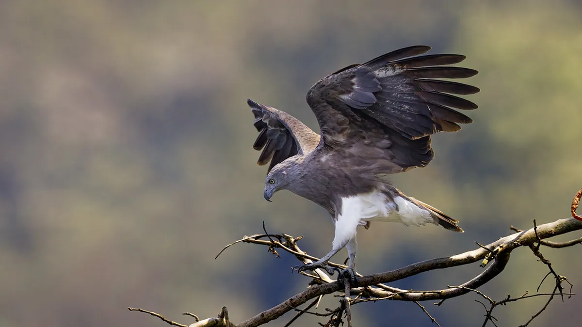 Must-Try Amalfi Foods: A 2025 Culinary Journey