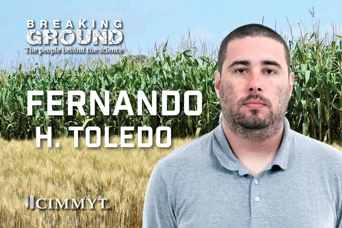 Must Try Food Toledo: A Culinary Guide for 2026