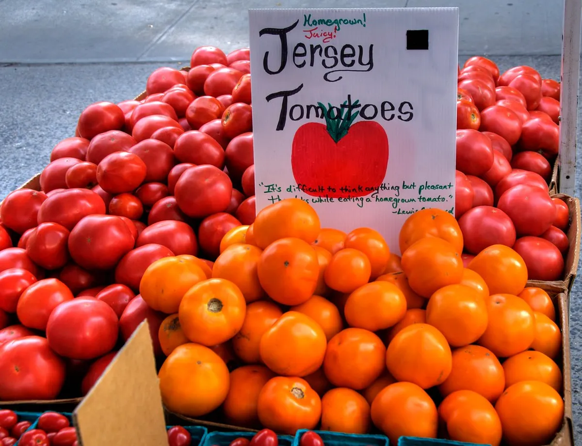 Must Try York Foods in 2025: A Culinary Journey