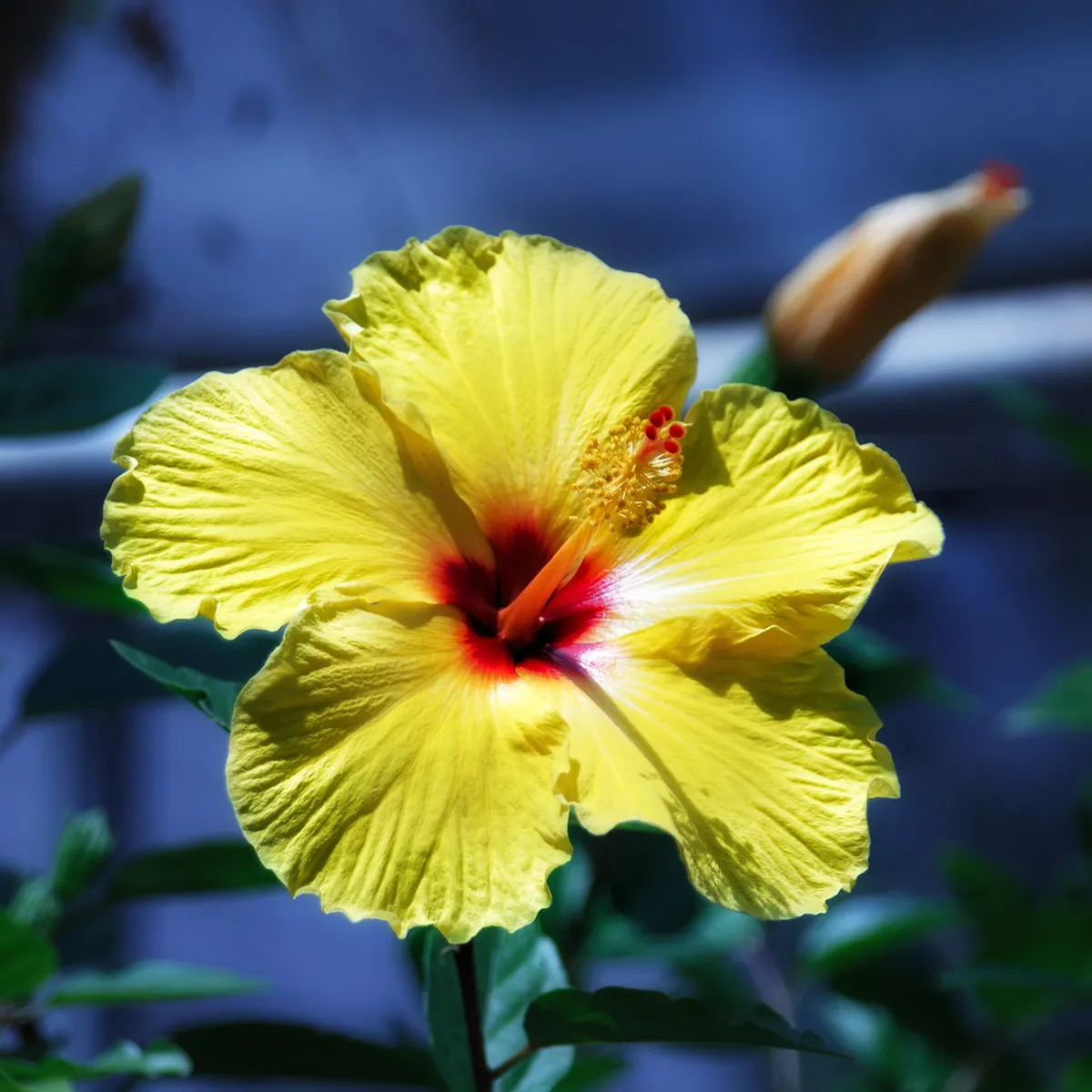 Discover the Old Stavanger Walking Route in 2025