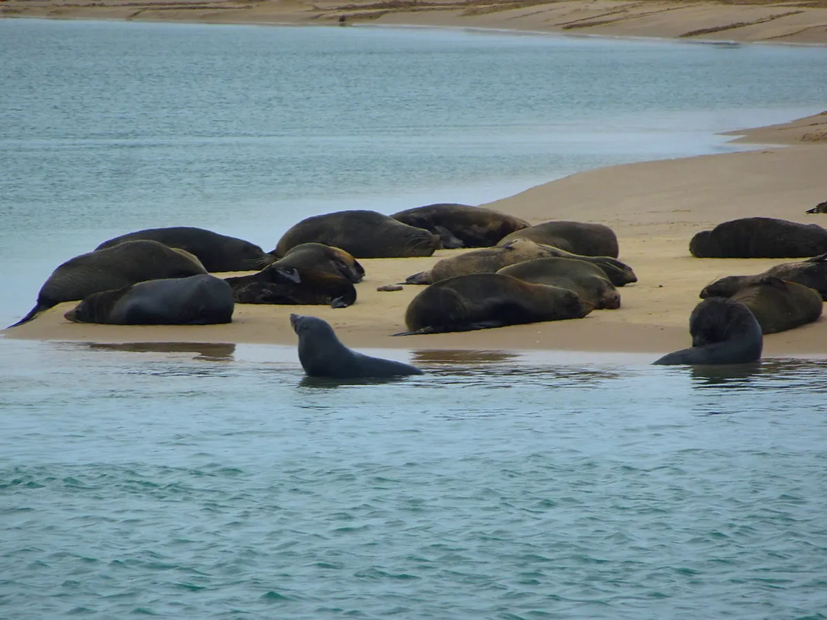 Essential Orléans Travel Tips for 2025: Your French Guide