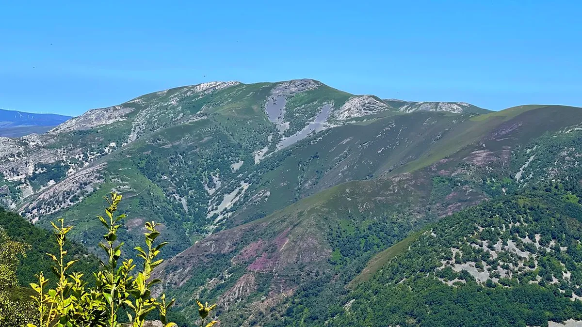 Oviedo Local Food Guide 2025: A Taste of Asturias