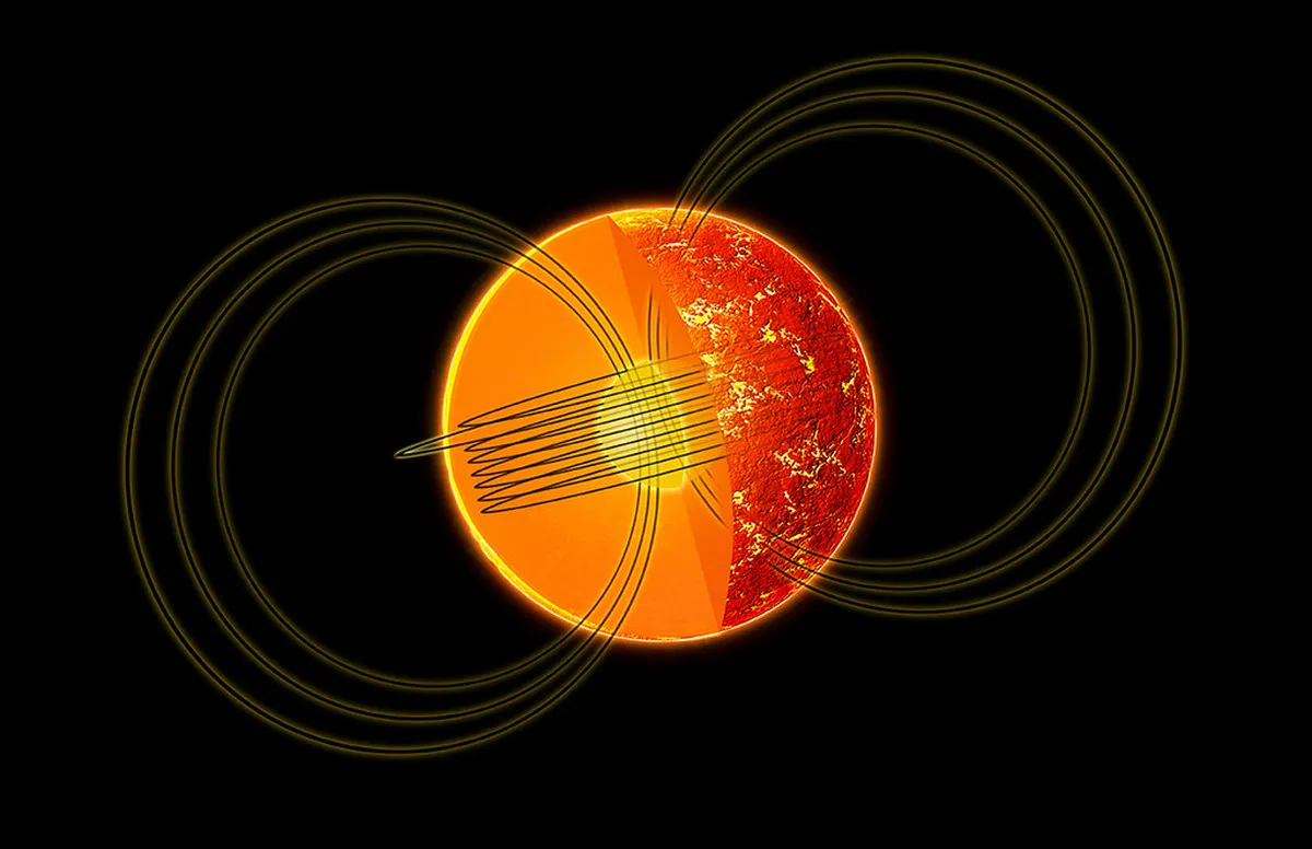 Discover Padua's Must-See Attractions in 2025