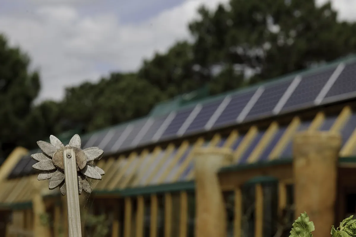 Palermo Budget Travel Tips 2025: Save Money in Sicily