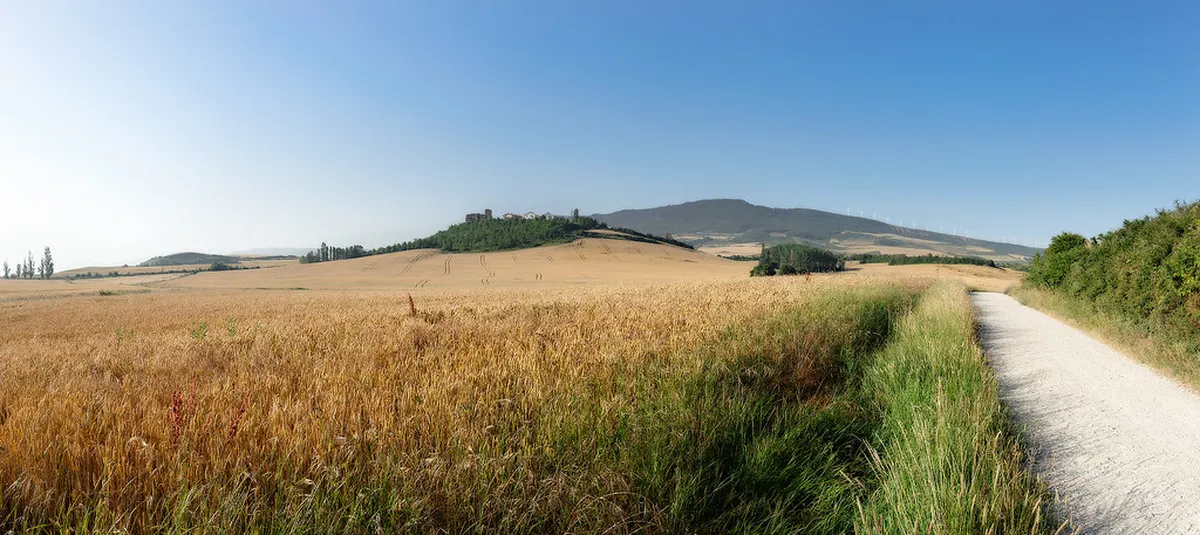 Best Pamplona Day Trips for 2025: Explore Northern Spain