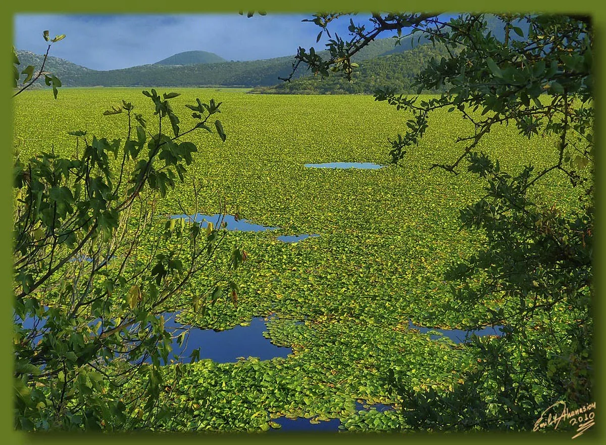 Parga Best Time Visit: Your 2025 Greece Travel Guide